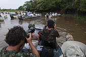 Photo safari on Cuiaba river, Pantanal, Mato Grosso, Brazil
