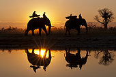 Elephant back safari, Abu Camp, Okavango Delta, Botswana