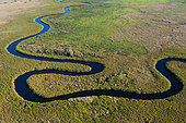 Aerial view of Okavango River, Okavango Delta, Botswana.