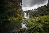 Waterfall, Rainbow Falls or Waianiwaniwa, Kerikeri River, Northland, North Island, New Zealand, Oceania