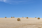 Straw rolls in a harvested field, Pas de Calais, France