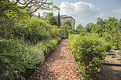 A row of terracotta sherds and corded apple trees. In the Garden of Heaven, Cordes sur Ciel, Occitanie, France