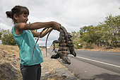 Sale of black iguanas (Ctenosaura sp) to make soup, Nicaragua.