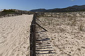 Végétation dunaire protégée par des barrières, Corse du Sud, France