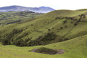 Andean agricultural landscape above Quito around 2500 m, Andes, Ecuador