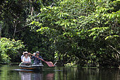 Ecotourism in flood forest, Napo Wildlife lodge, Yasuni Nationl Park, Amazon, Ecuador