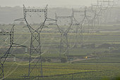 High Tension Lines between Magalas and Laurens, Hérault, France