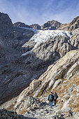 Hiking from Madame Carle's Pres near the Glacier Blanc refuge, Vallouise valley, Briançonnais region, Ecrins National Park, Hautes-Alpes, France