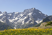 The summits of Sirac (3441m), La Chapelle-en-Valgaudemar, Ecrins National Park, Hautes-Alpes, France