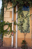 Vegetation of the city by micro-flowering, climbing plant Cape leadwort (Plumbago auriculata), Mediterranean District, Montpellier, France. As part of "Montpellier Cité Jardins", the City of Montpellier is setting up a "Vegetation Permit"