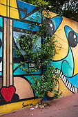 Vegetation of the city by micro-flowering, Confederate jasmine (Trachelospermum jasminoides), Mediterranean district, Rue de l'aire, Montpellier, France In the framework of "Montpellier Cité Jardins", the City of Montpellier sets up a "Permis to vegetate »