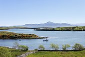 View from Rosturk over Clew Bay, looking towards Croagh Patrick mountain, County Mayo, Connacht province, Republic of Ireland, Europe