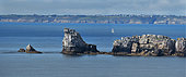 Pointe du Toulinguet vue de la Pointe de Penn Hir, Parc naturel d'Armorique, Bretagne, France