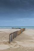 Latice fence chestnut wood retaining the sand on the beach of Calais, autumn, Hauts de France, France