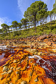 Río Tinto, Andalucia, Spain