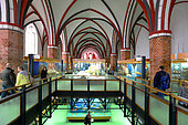 The Stralsund Museum has various collections such as the natural history one, open in 1858 in the St Catherine's monastery, Stralsund, Mecklenburg-Vorpommern, Germany