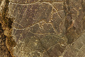 Prehistoric Rock Art Sites of the Coa (horses), Engravings of the Côa valley (petroglyphs over 22,000 years old) have been recognized as a cultural heritage of humanity by UNESCO, Portugal