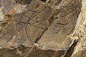 Prehistoric Rock Art Sites of the Coa (ibex), Engravings of the Côa valley (petroglyphs over 22,000 years old) have been recognized as a cultural heritage of humanity by UNESCO, Portugal