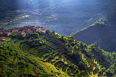 Terraced Crops in the Sistelo Region, Peneda-Gerês National Park, Northern Portugal