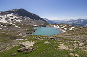 Natural Reserve of the Cirque du Grand Lac des Estaris (2555m), Orcières Merlette, Écrins National Park, Hautes-Alpes, France