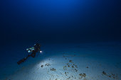 Alone in the dark. Atmospheric photo taken 110 meters deep. Mayotte