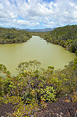 Creek Pernod, South Caledonia