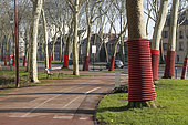 Plane trees protected by TPC sheaths for future work at Versailles, France