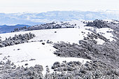 Snow on the crests of Grand Luberon, Vaucluse, Provence, France