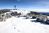Snow on the crests of Grand Luberon, Vaucluse, Provence, France