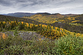 Mont Albert and colors of the Summer of the Amerindians, Haute-Gaspésie National Park, Gaspésie, Quebec, Canada