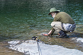 Atlantic Salmon (Salmo salar) fishing, Great River, Salmon River, Chaleur Bay, Gaspesie, Quebec, Canada