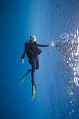 Scuba Diver at Water Surface, South Male Atoll, Indian Ocean, Maldives