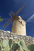 Windmill and Opuntia cactus (Opuntia sp), Saint-Saturnin-lès-Apt, Vaucluse, France