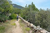 Hiking on the heritage trail of Monaccia d'Aullène, Corsica, France