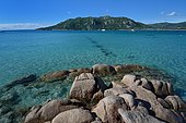 Santa Giulia Bay, Natural Reserve of the mouths of Bonifacio, Corsica, France
