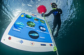 Diver / snorkeler discovering the Yıldızkoy bay underwater trail in the Marine Protected Area of Gokceada Island, Turkey