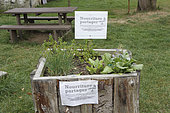 Tray with food to share in the commune of Rohan, Brittany, France