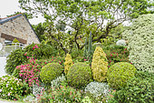 Roscanvel private garden, Crozon Peninsula, Finistère, France