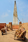 Brick factory where families are making bricks with clay before drying them under the sun and in oven using straws. There is about 25 millions people (men, women, kids) working in the 100 000 bricks factories in India. Rajasthan. India