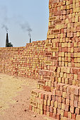 Brick factory where families are making bricks with clay before drying them under the sun and in oven using straws. There is about 25 millions people (men, women, kids) working in the 100 000 bricks factories in India. Rajasthan. India