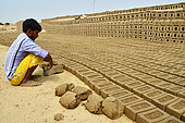 Brick factory where families are making bricks with clay before drying them under the sun and in oven using straws. There is about 25 millions people (men, women, kids) working in the 100 000 bricks factories in India. Rajasthan. India