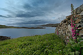 Scourie Bay, Ecosse