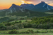 Sunset over the vineyards and the Dentelles de Montmirail, Vaucluse, France.