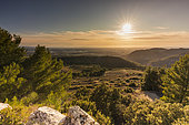 Sunset over the vineyards and the Dentelles de Montmirail, Vaucluse, France.