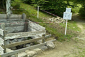 Rehabilitation of an old wolf trap !! Mandailles Valley, Cantal Mountains, Auvergne Volcanoes Regional Natural Park, Auvergne, France