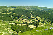 Mandailles Valley, Cantal Mountains, Auvergne Volcanoes Regional Natural Park, Auvergne, France