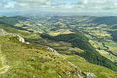 Claux and Cheylade Valleys, Cantal Mountains, Auvergne Volcanoes Regional Natural Park, Auvergne, France