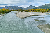 Tok river in fall, Glenn highway: Tok to Anchorage, Alaska