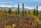 Landscape from the Nabesna road in fall, Glenn highway: Tok to Anchorage, Alaska
