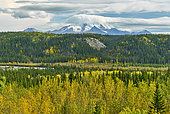 Mount Wrangle and Copper river in fall, Glenn highway: Tok to Anchorage, Alaska